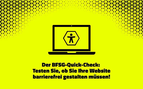 BFSG Quickcheck Website Check