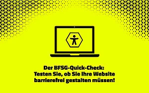 BFSG Quickcheck Website Check