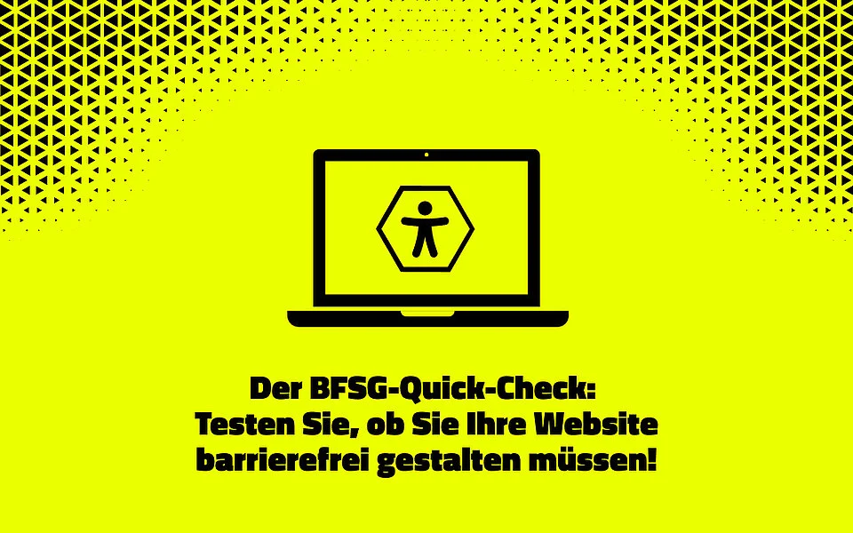 BFSG Quickcheck Website Check