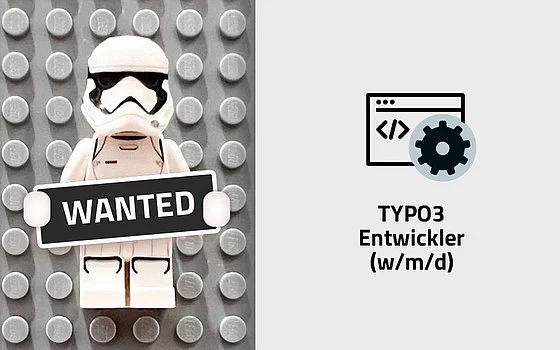 Typo3 Entwickler Job